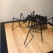 Araignée